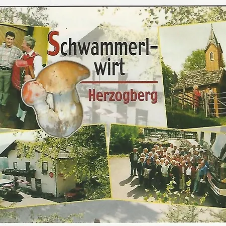 Schwammerlwirt Berg Gasthof * Kindberg
